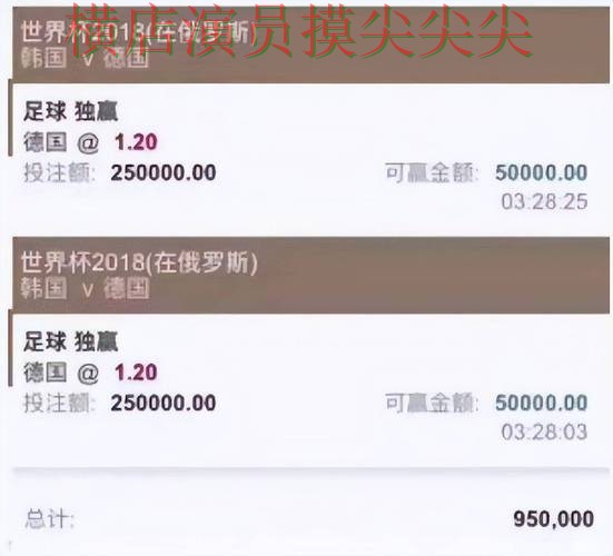 新手必看：世界杯投注平台平台排行+直播详解 + 世界杯全球总决赛